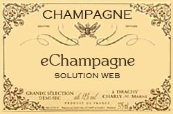 Champagne Brut Tradition